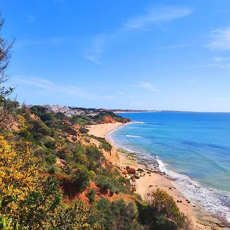 Beach Condo With Atlantic Ocean View By Becherish Ольюш-ди-Агуа  Экстерьер фото